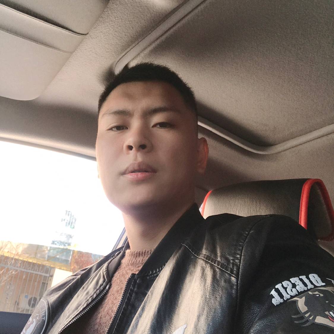 乌龟深拥腼腆的照片