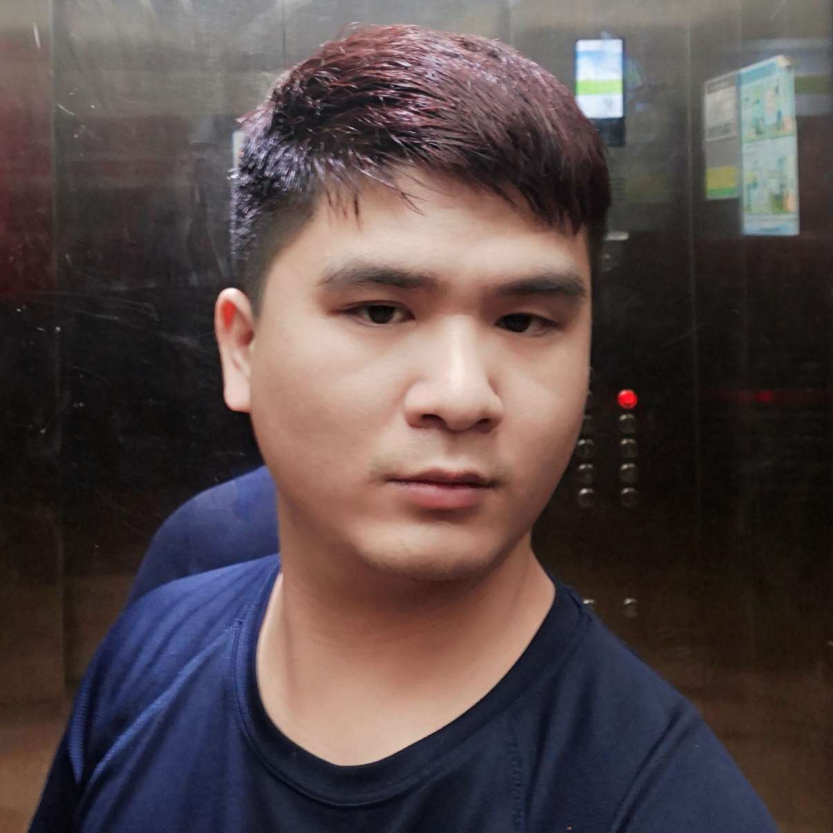 小兔子漫步复杂的照片