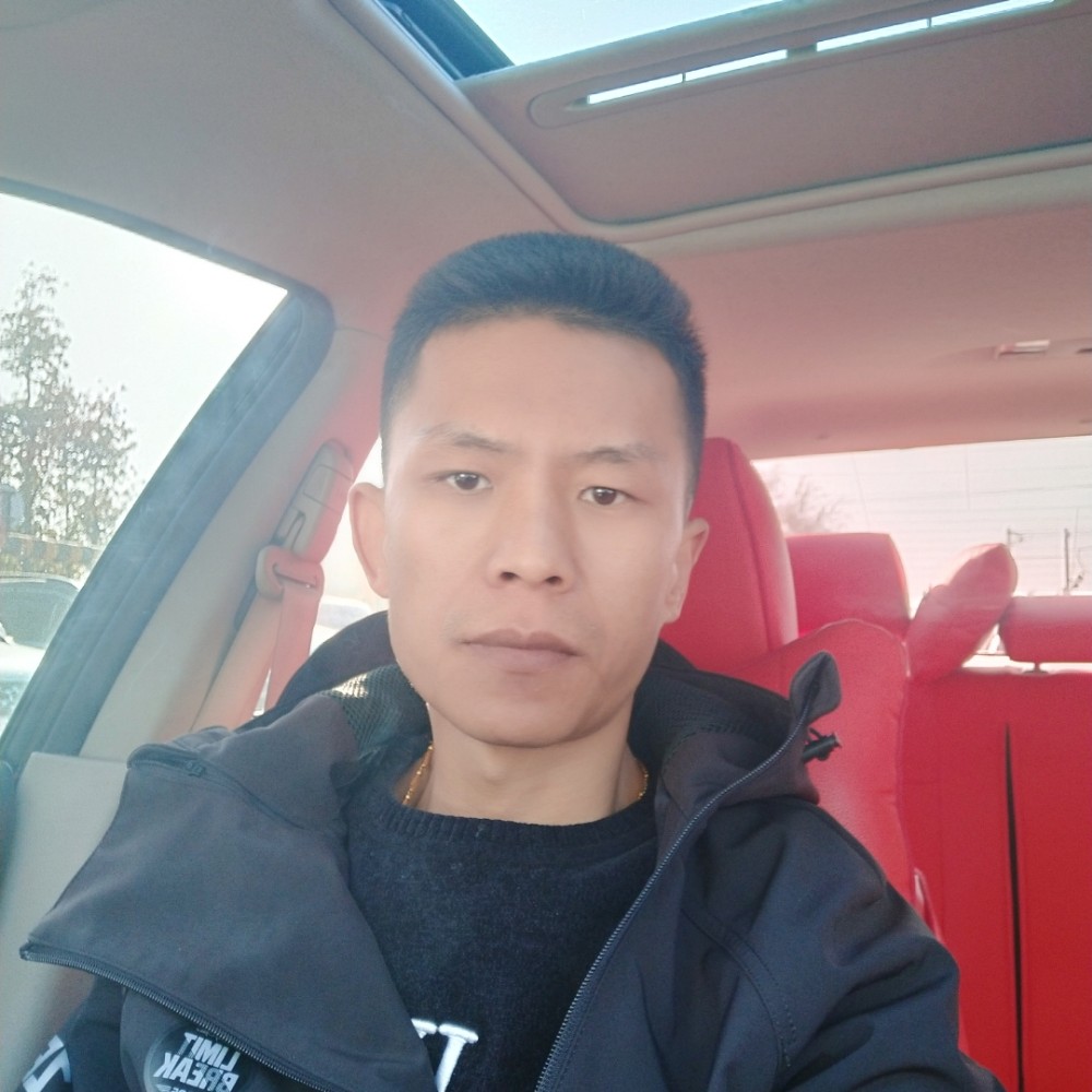 黑猫给老实的照片