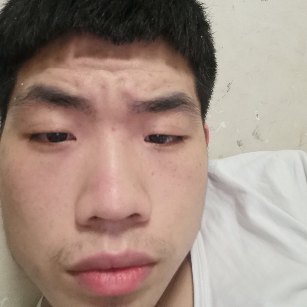 寒风方寂冷的照片