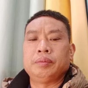 蝶舞丰富的照片