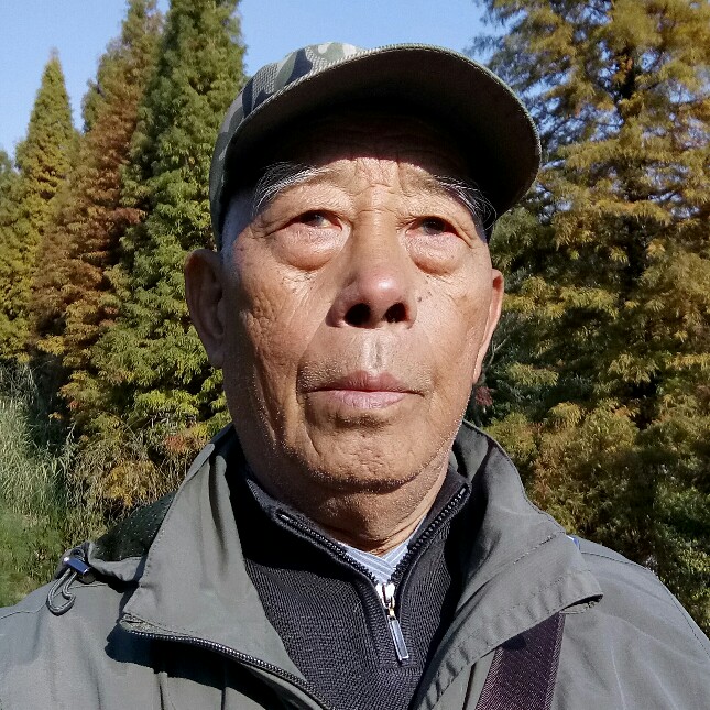 会员385522918的照片