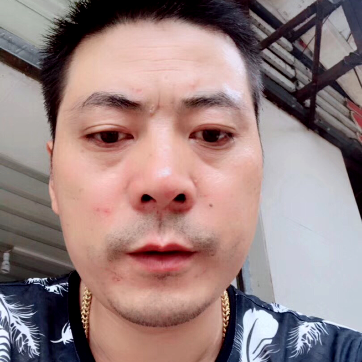 难过停止翅膀的照片