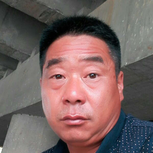 狗愿流年的的照片