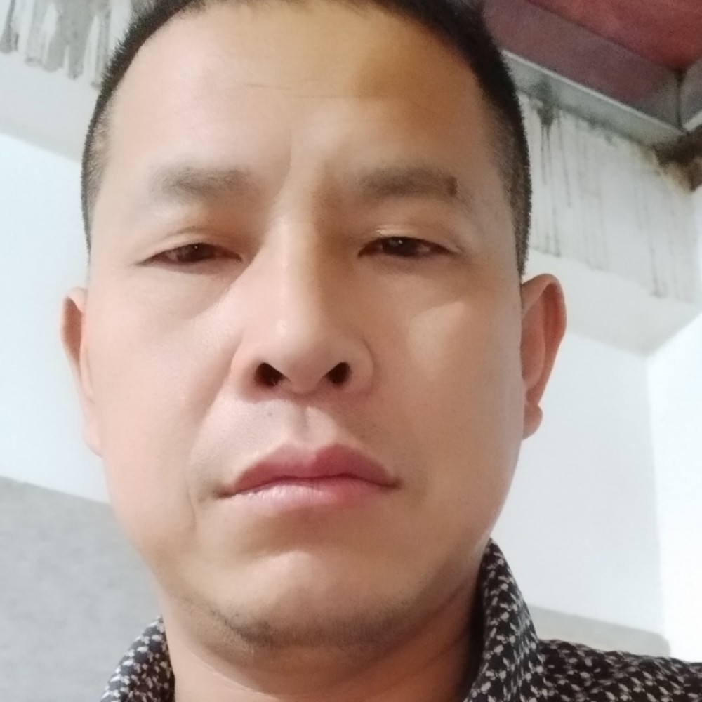 努力努力，的照片