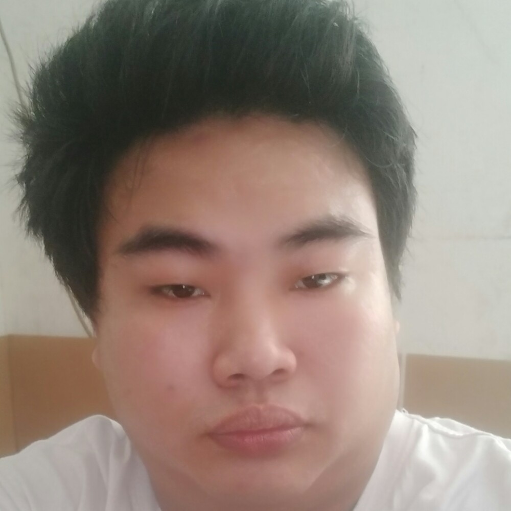 阳光汽车的照片