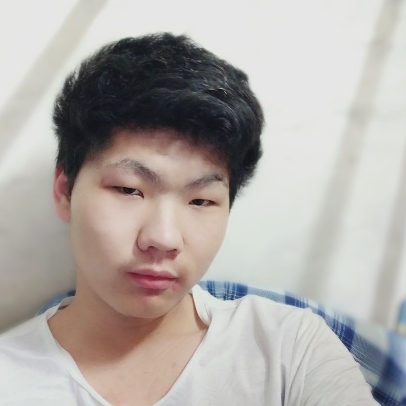 优美羊的照片
