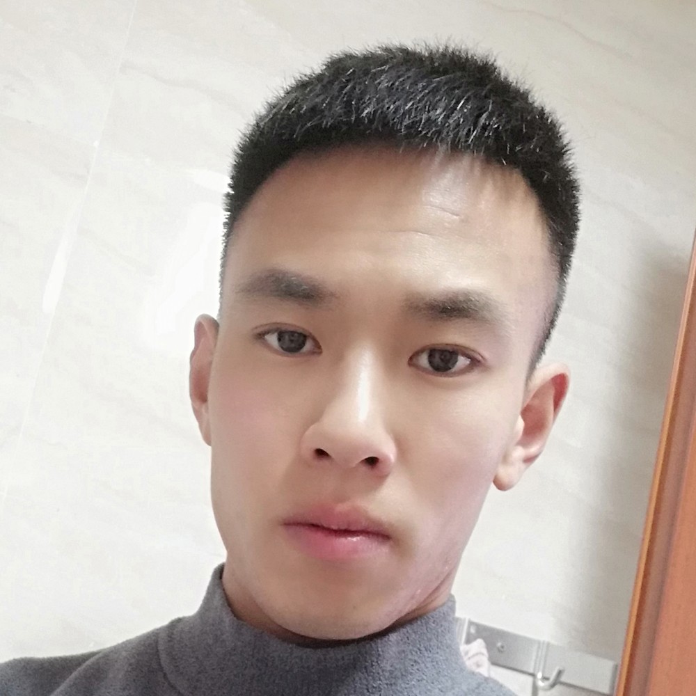 风趣与鸵鸟的照片