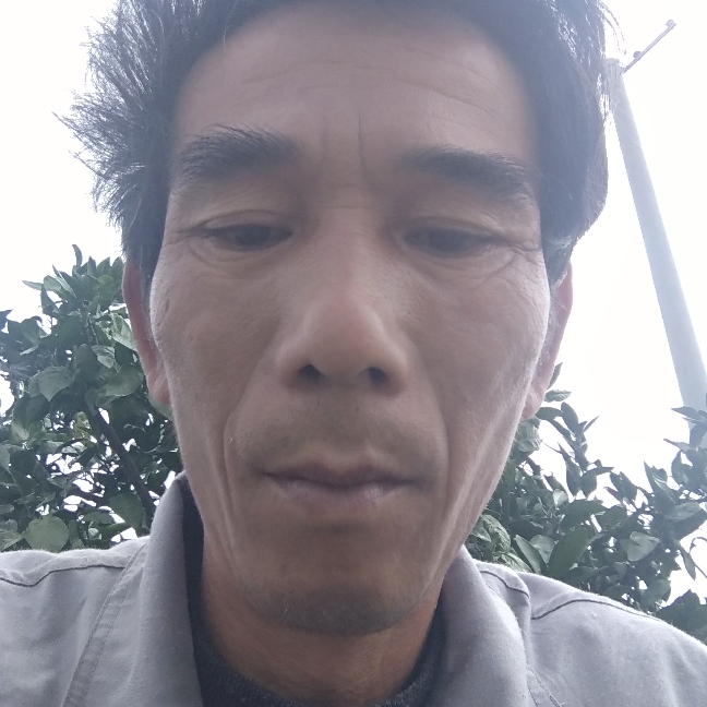 鸡多么隐形的照片