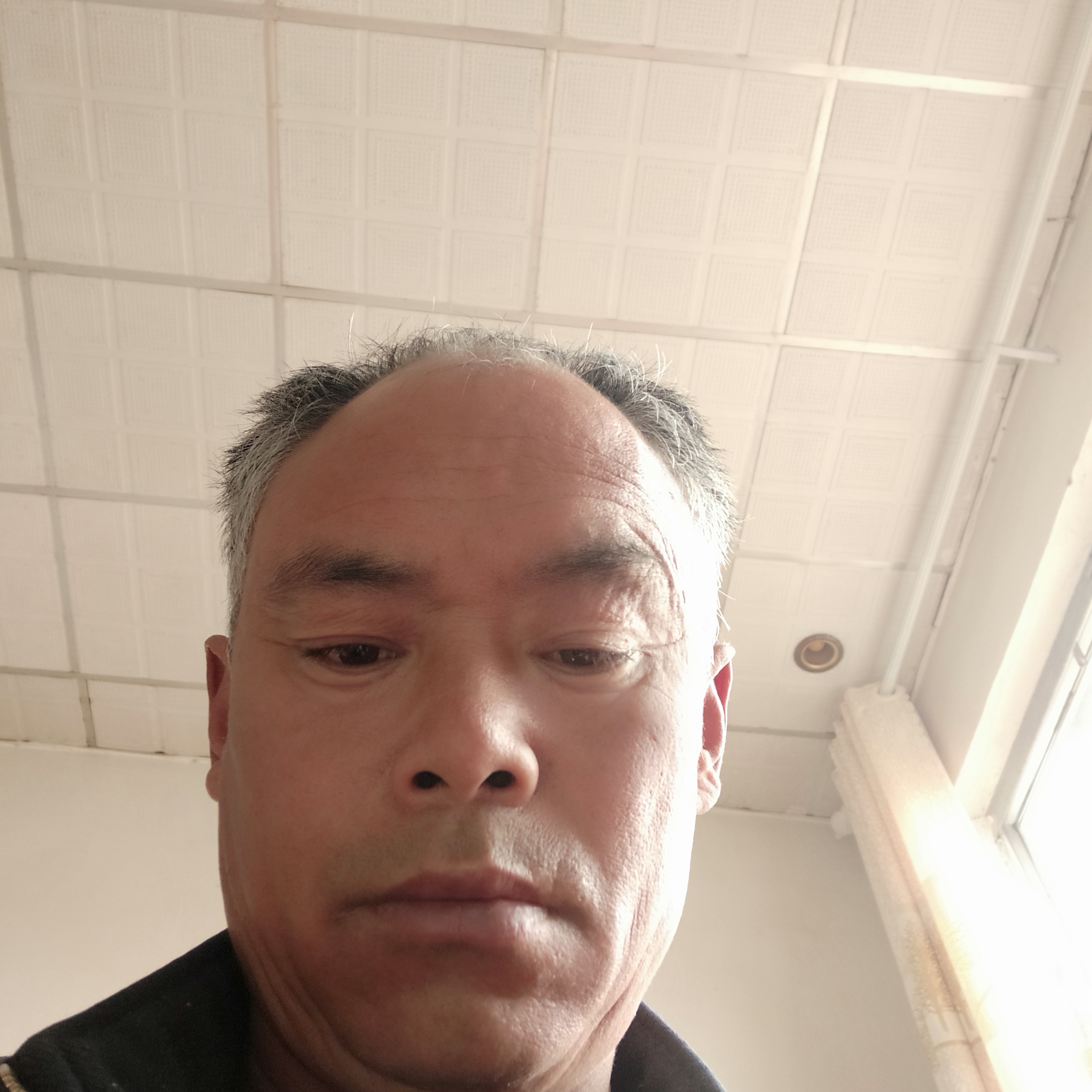 长颈鹿清脆的照片