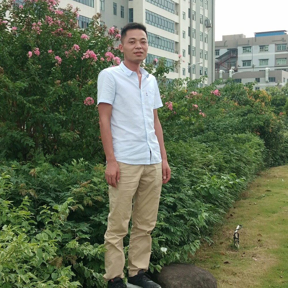 龙猫凝眸现代的照片