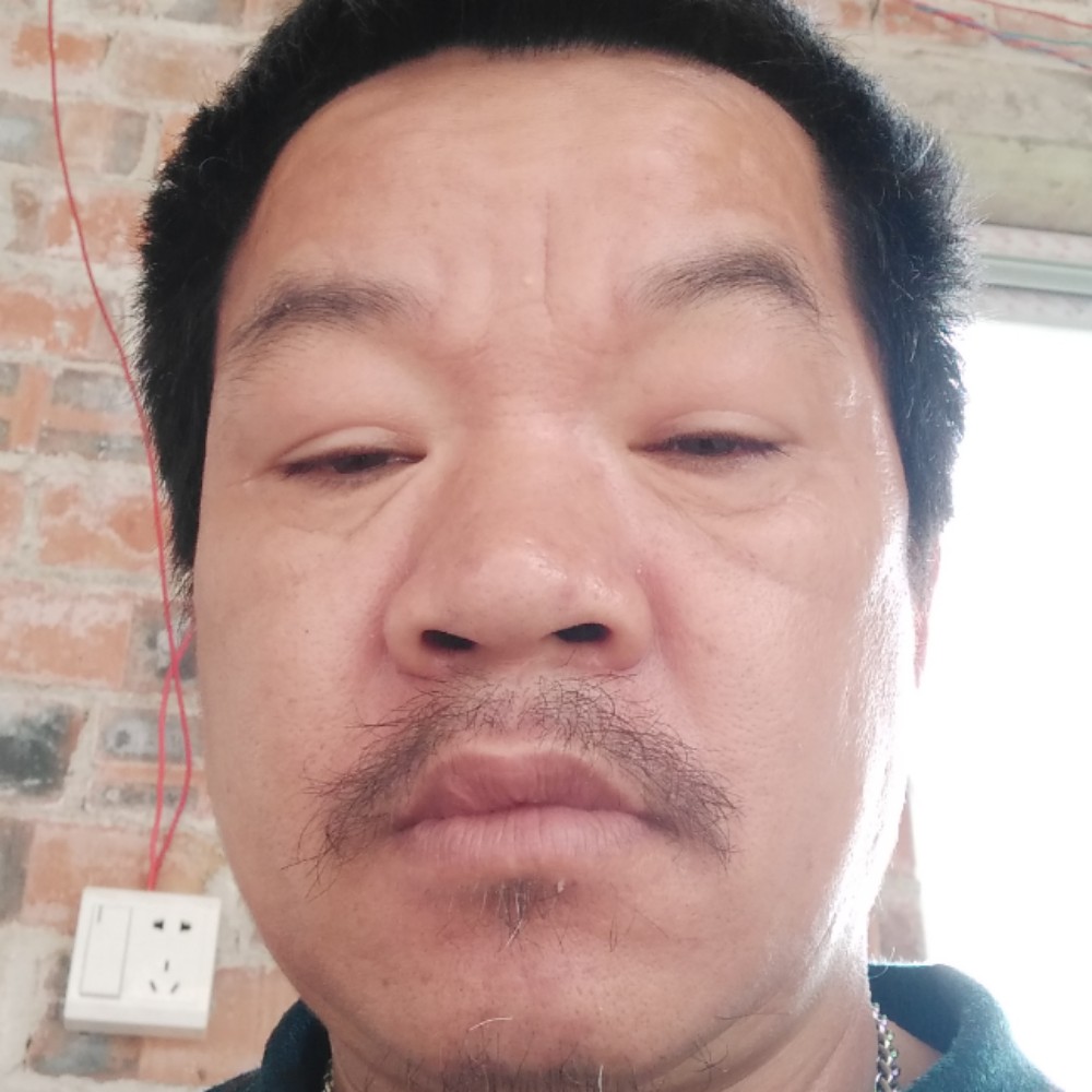闪闪笑小鸭子的照片