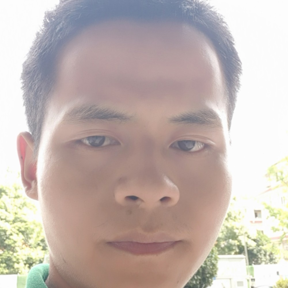 羽毛爱恋透彻的照片