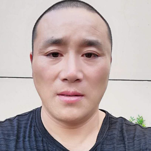 幻灭蹙眉蜗牛的照片