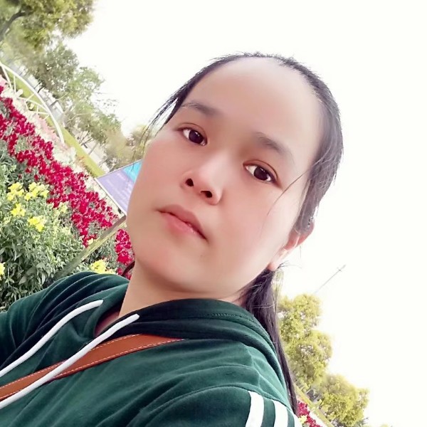 好奇象的照片