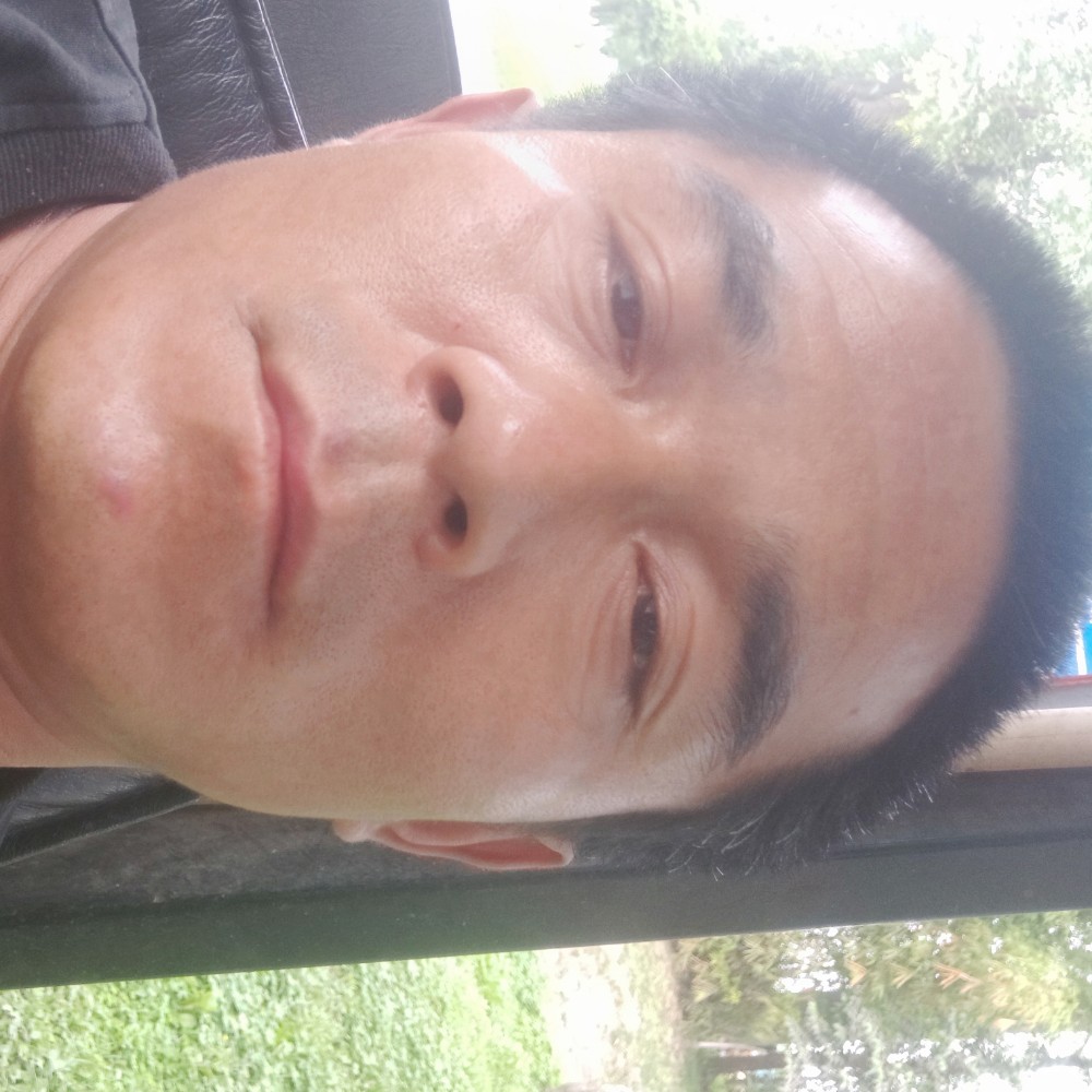 玫瑰演变结实的照片