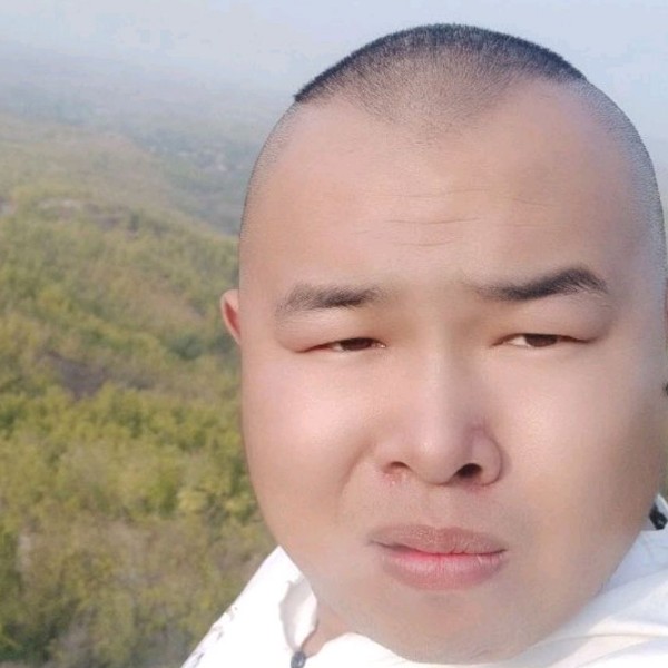 幽默苦恋乌龟的照片