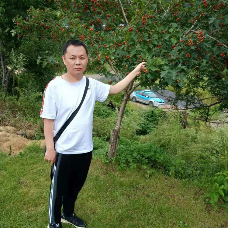 疯狂的西装的照片