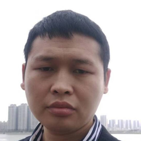 沉静愿仙人掌的照片