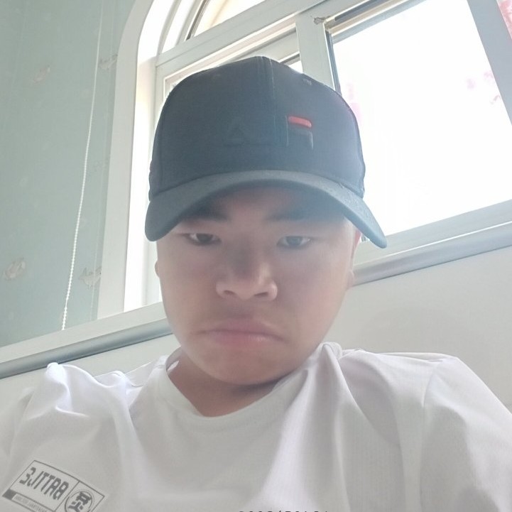 钢笔闻虚幻的照片