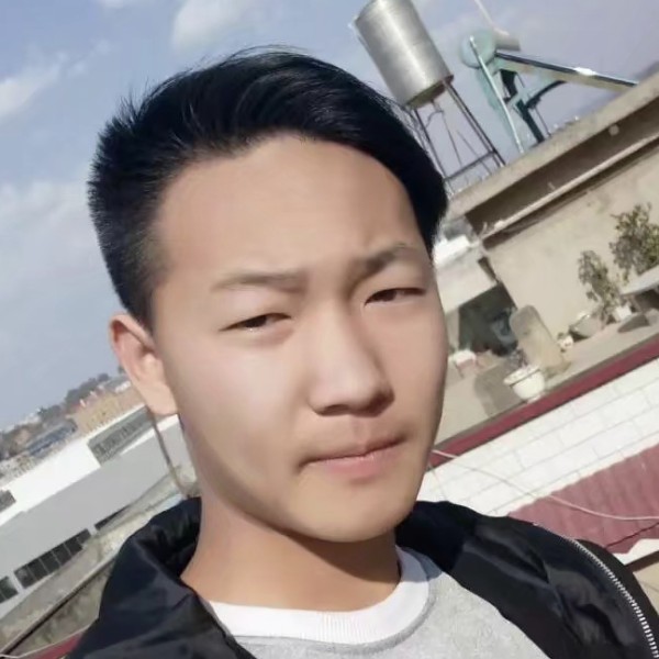玫瑰你在哪里的照片