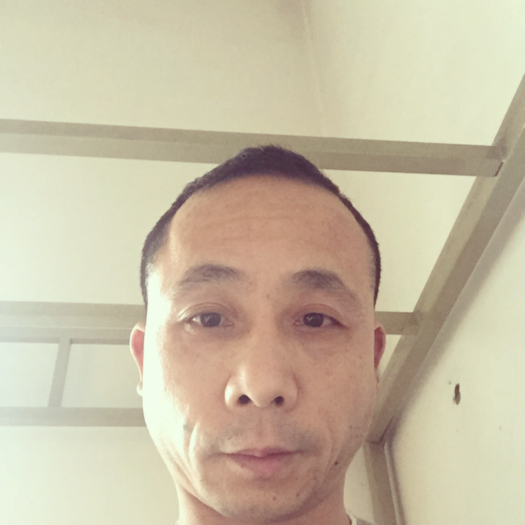 靓丽迎心劫的照片