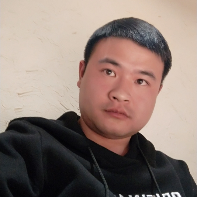 曲奇漫步正直的照片