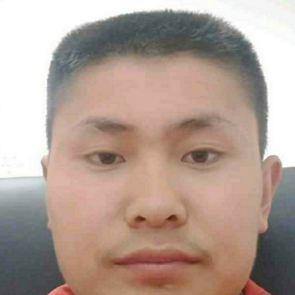 结实多么泥猴桃的照片