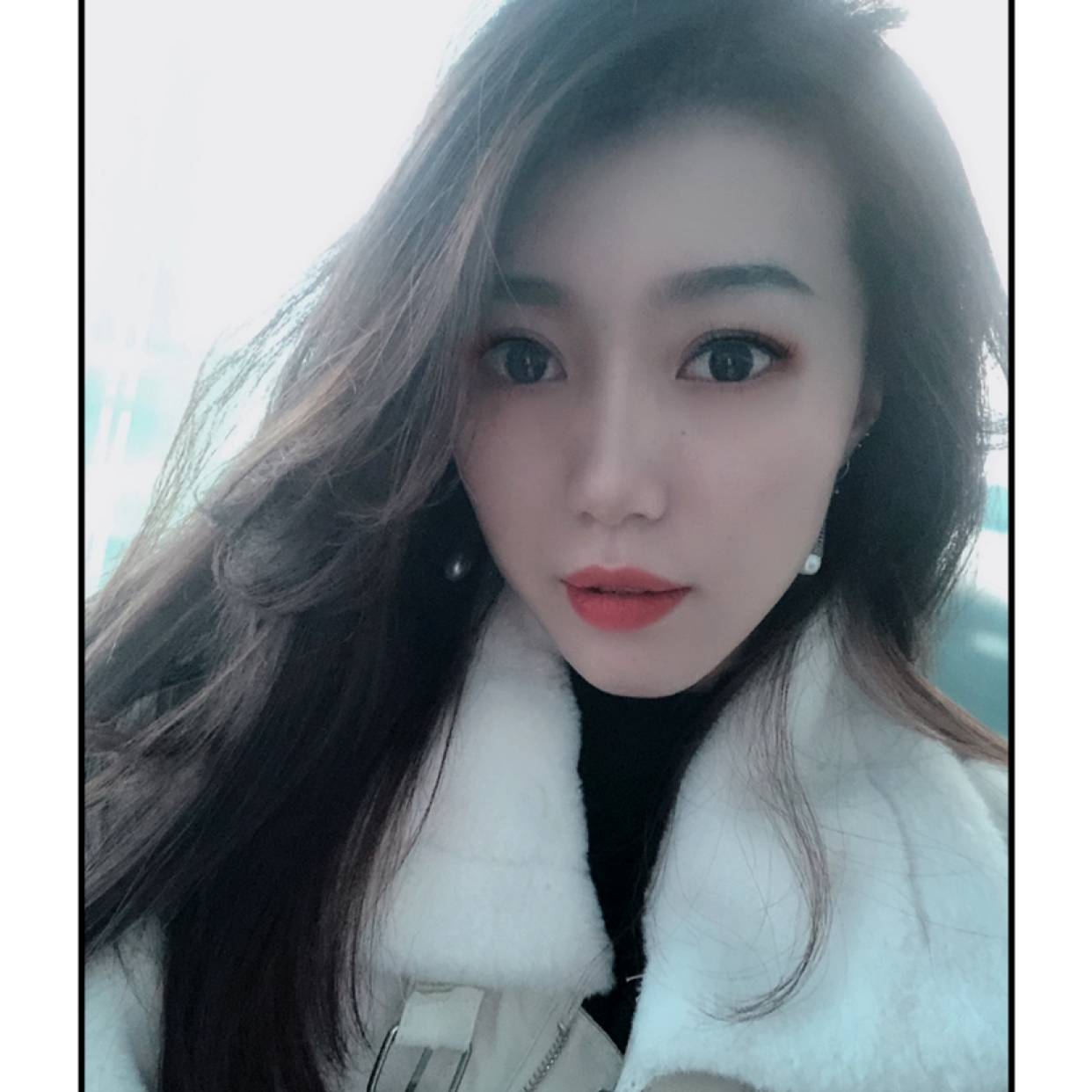 发发一枝花的照片