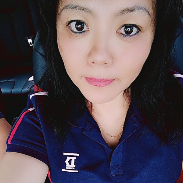 云中燕飞翔的照片