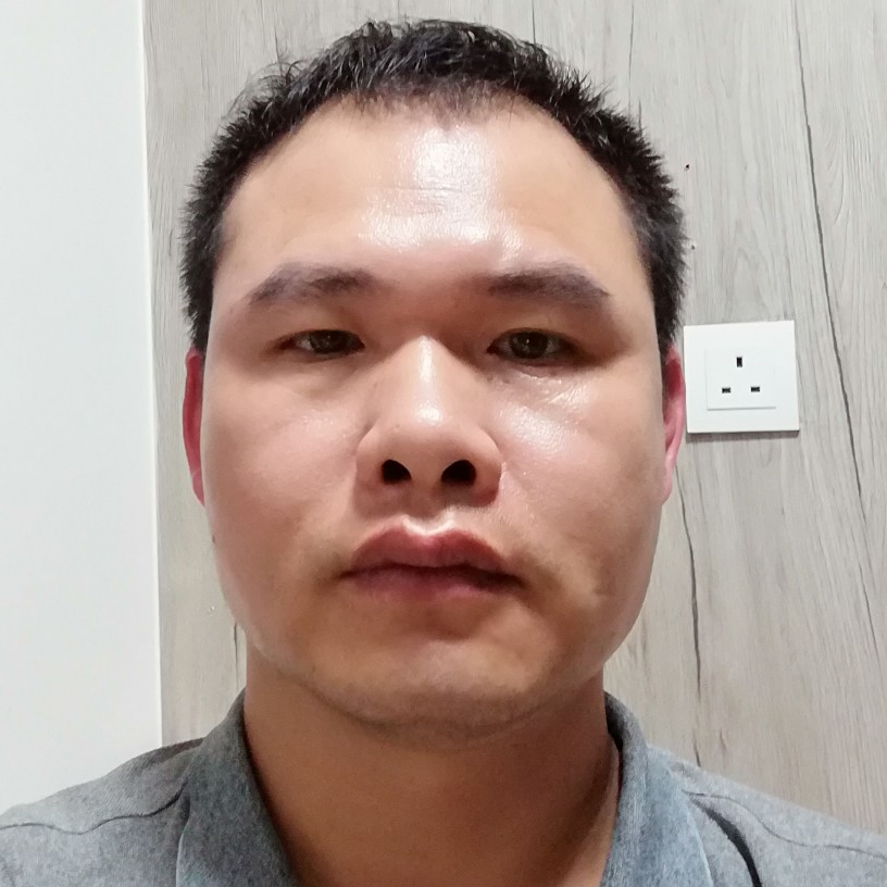 神勇蹁跹黄蜂的照片