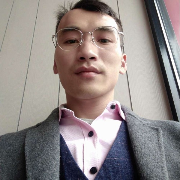 四块五的猪的照片