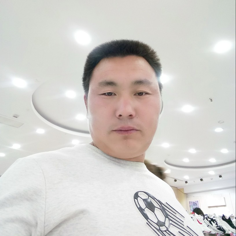 孤独的狼寻觅的照片