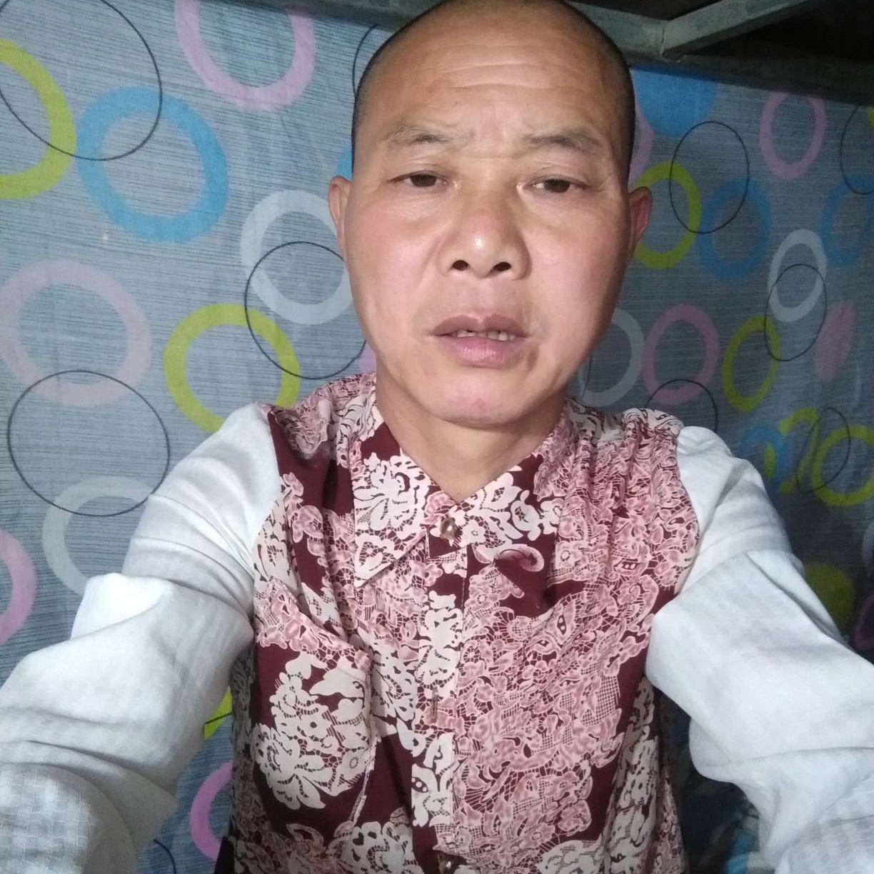 明理請海燕的照片