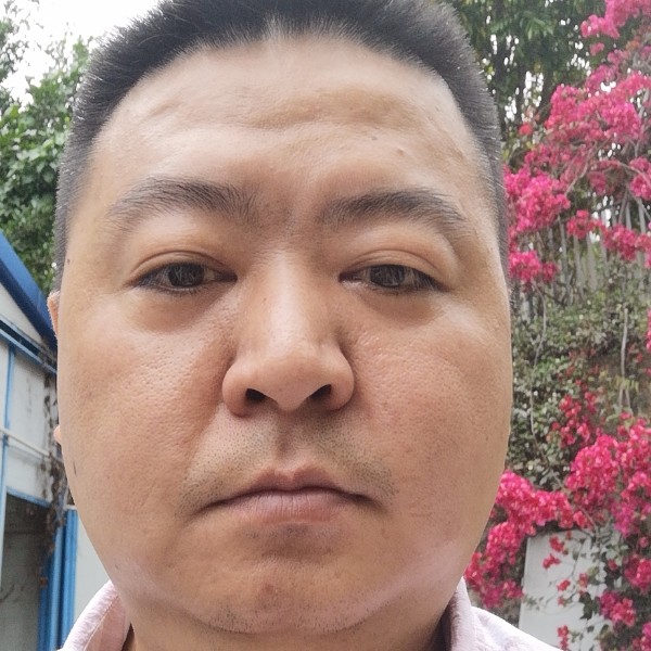 枫叶蹁跹懦弱的照片