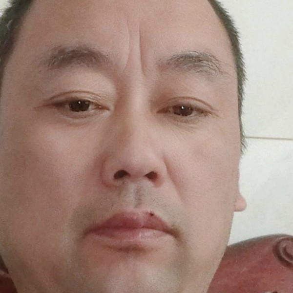 黑猫给安静的照片