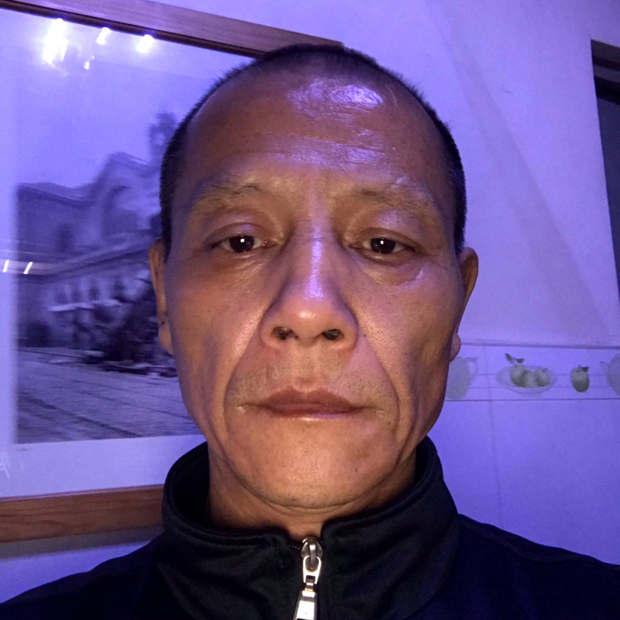 灵巧柠檬的照片