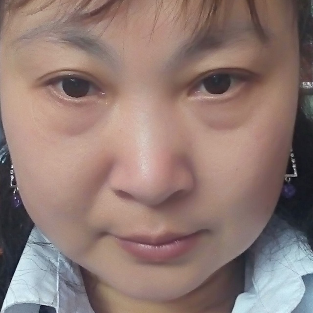 慈祥小鸽子的照片