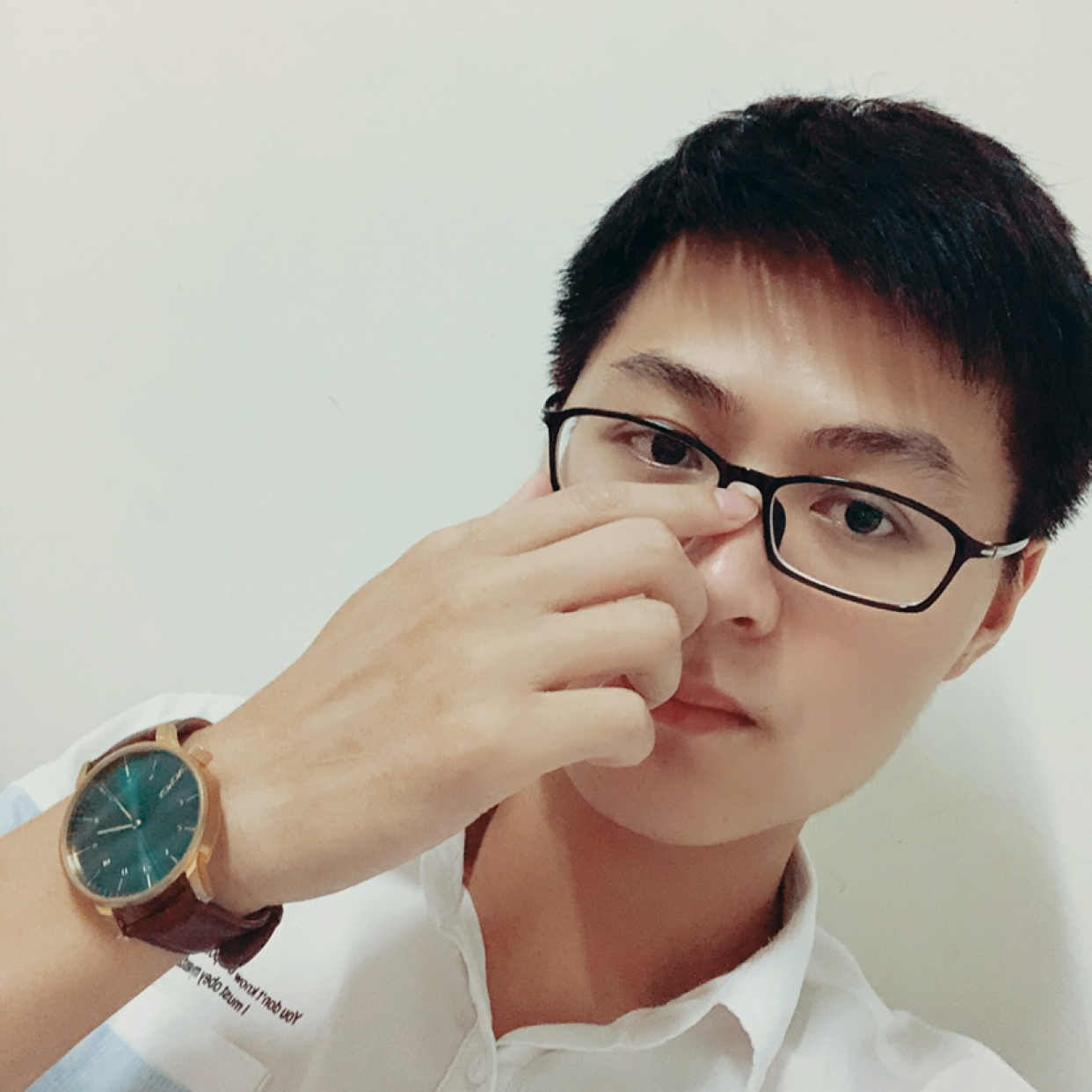 白猫刻苦的照片