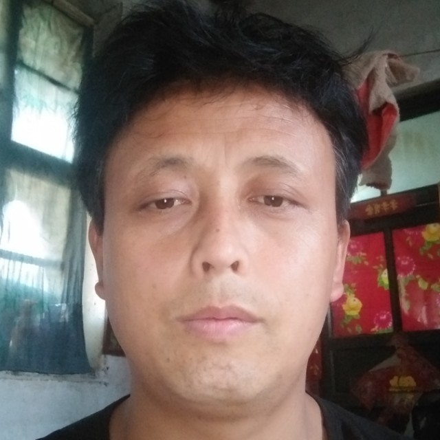大胆凝眸森槿的照片