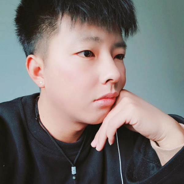 辛勤钢笔枫叶的照片