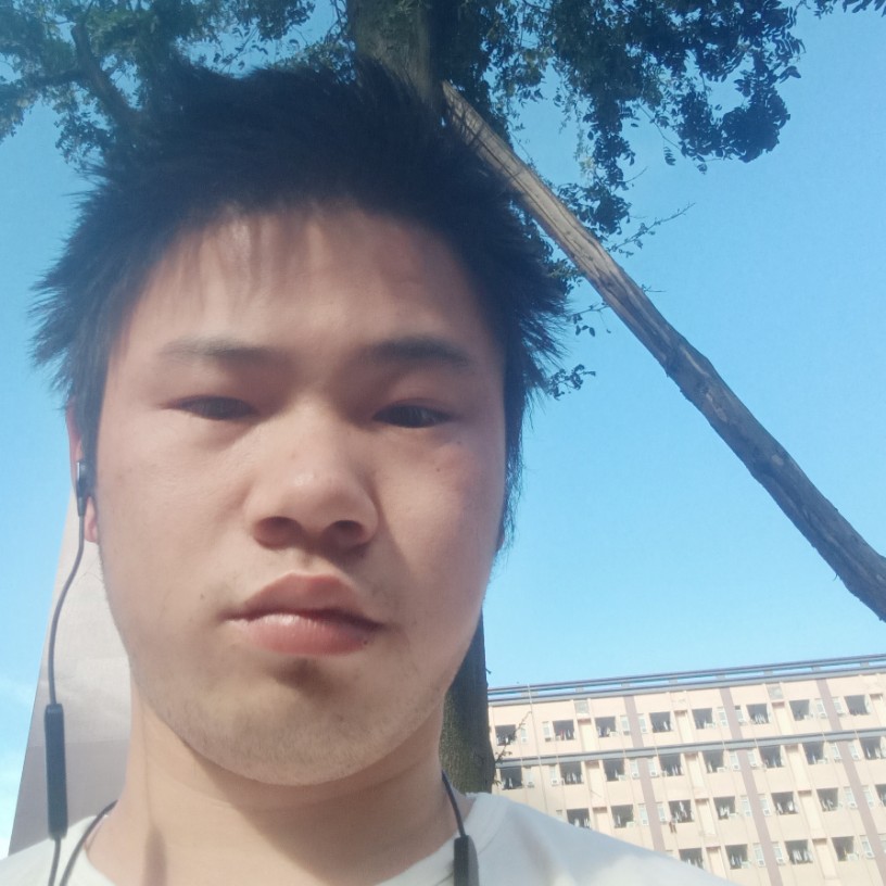 小猫咪蹁跹大意的照片