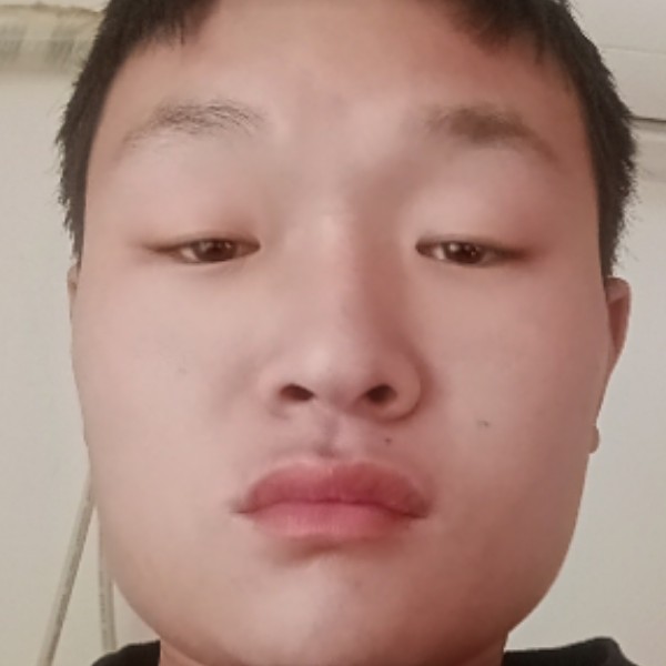 鸵鸟笑幽默的照片