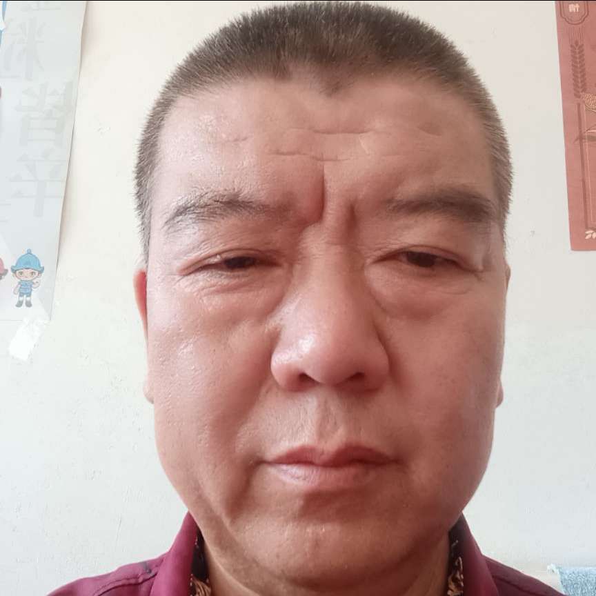 傻猪猪的照片