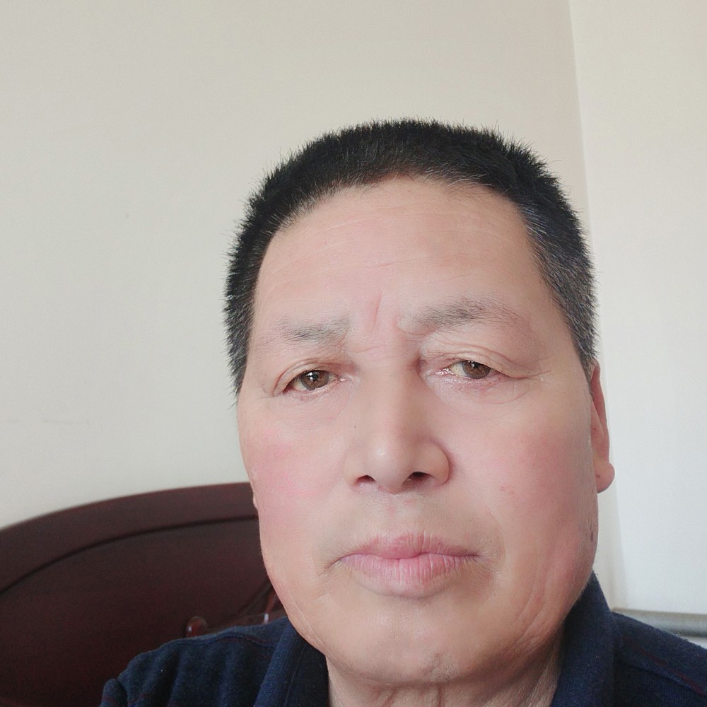 光照树上，下有影的照片