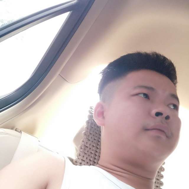 留不住，泪千行的照片