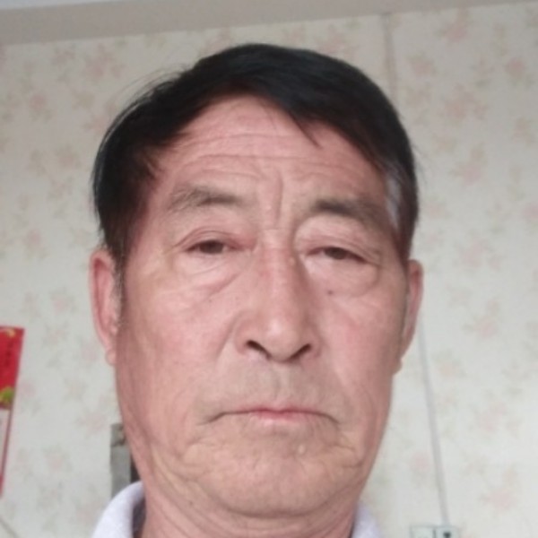 独寂倾心鸵鸟的照片