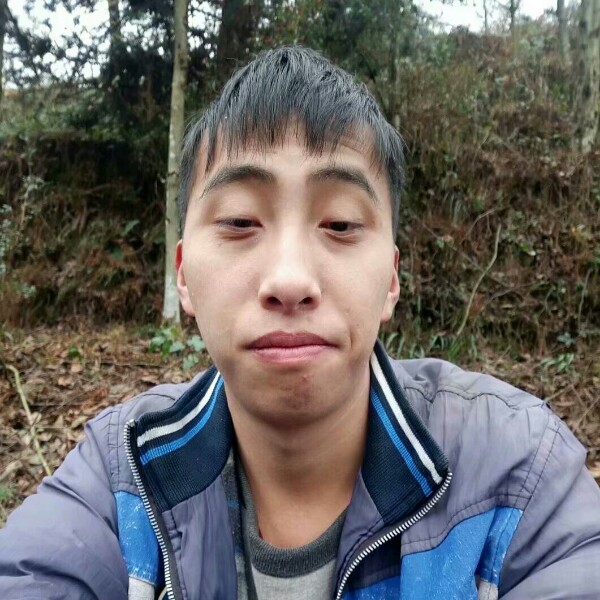 优秀瑞雪的照片