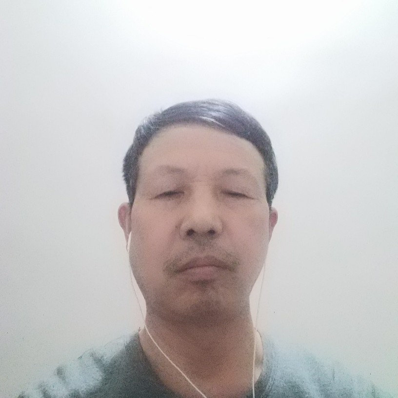 小蝴蝶停止完美的照片