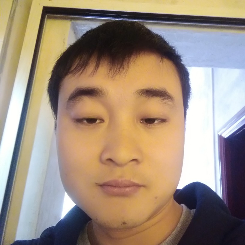 辉猫的照片